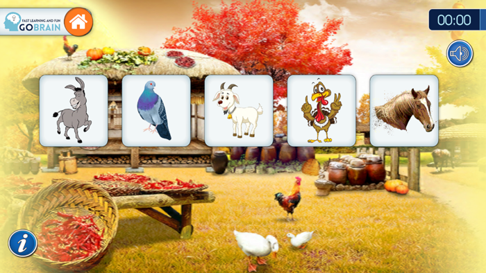 Pamięć i koncentracja - 01.