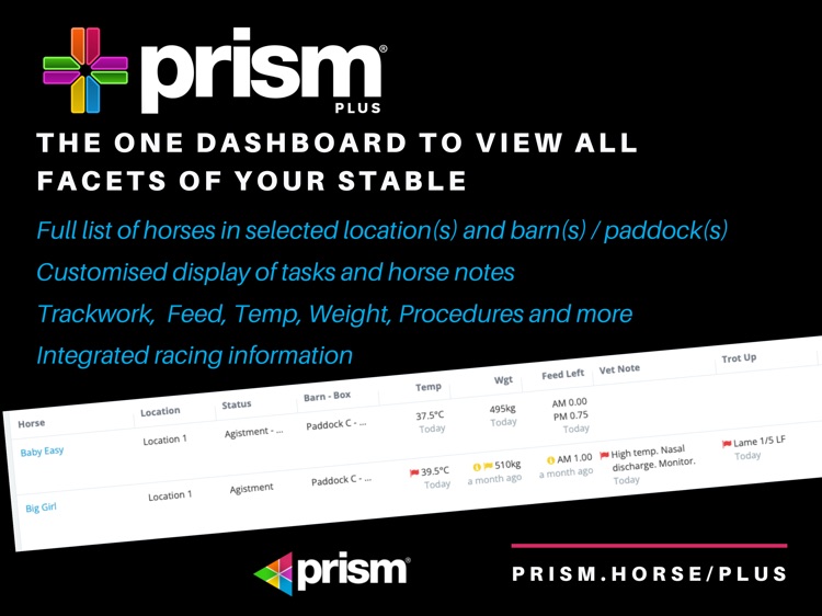 Prism Plus Tablet