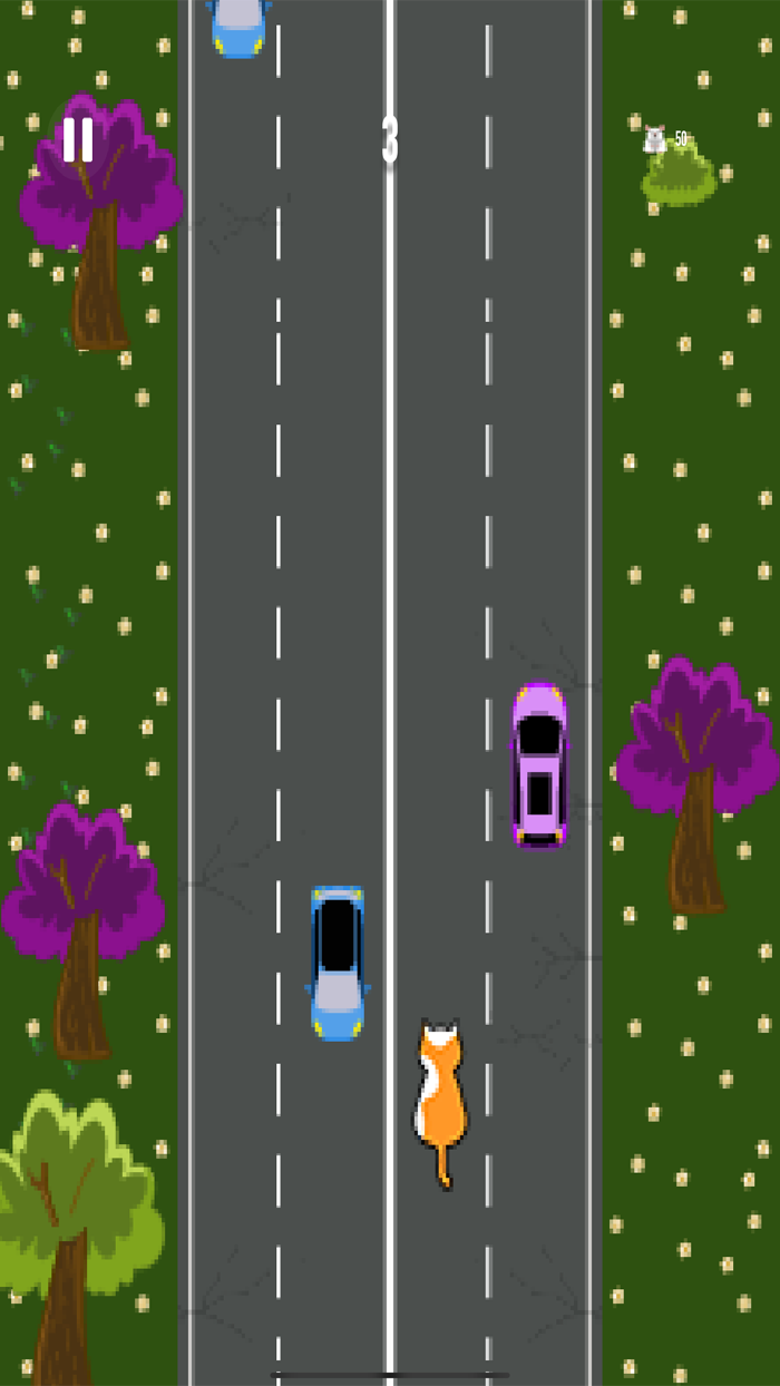 Cat Rush - Catch the Mouse