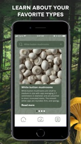 Mushroom Identification ID App screenshot