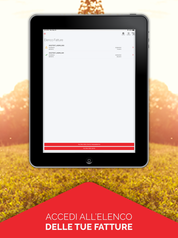 GESTIONE GAS E POWER