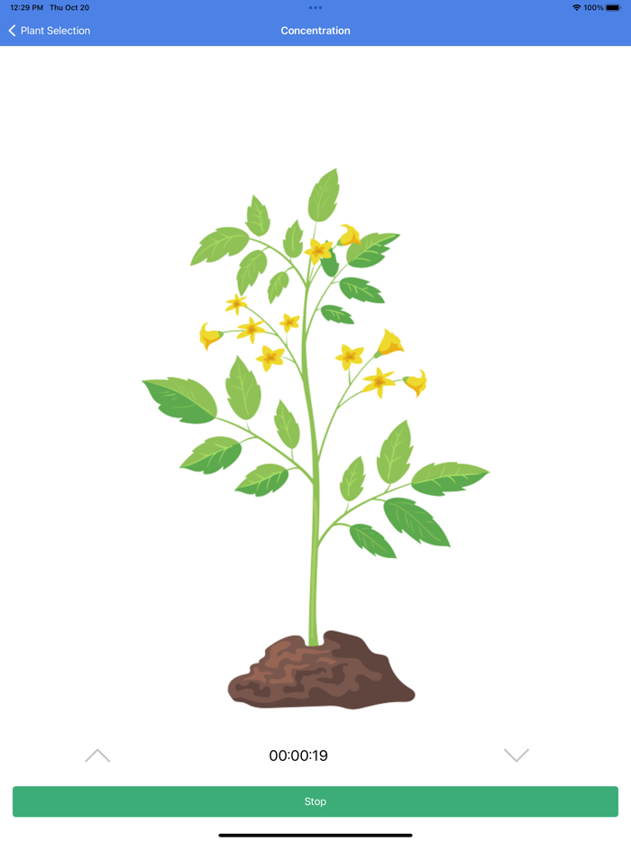 Focus Timer Stay Focused