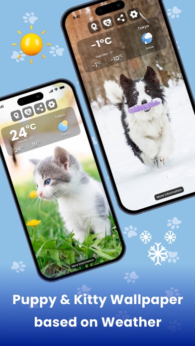 Weather Kitty - Cute Cat radar Screenshot