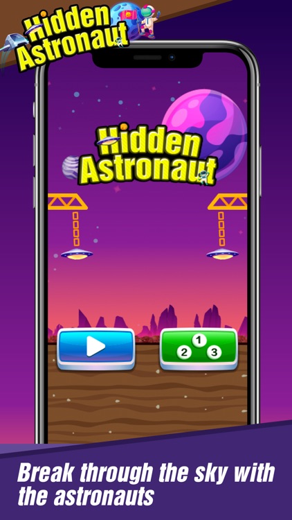 Hidden Astronaut