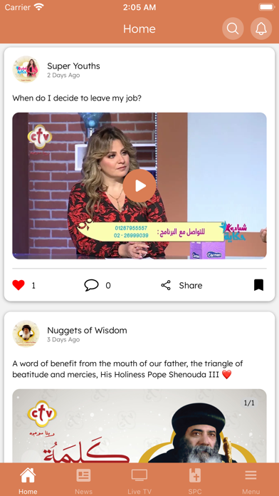 CTV Egypt Screenshot