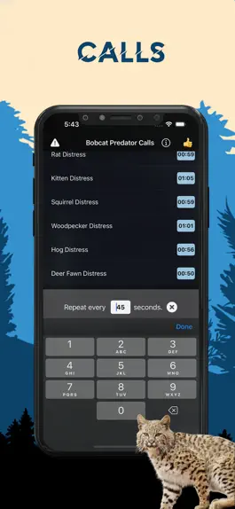 Game screenshot Bobcat Magnet - Predator Calls hack