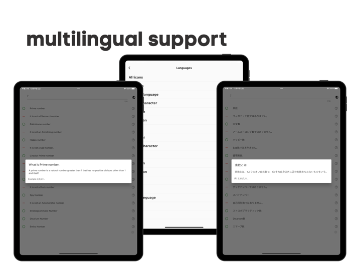 What Numbersnumber theory