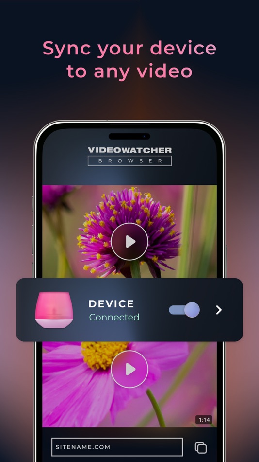 #5. Video Watcher Browser (iOS) بواسطة: Feel Robotics B.V.
