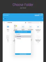 docu boss for onedrive iPad Captures Décran 2