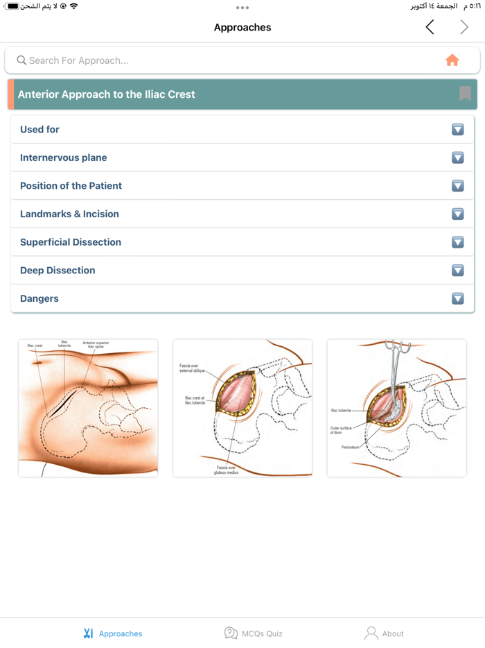 Orthopedic Approaches Pro