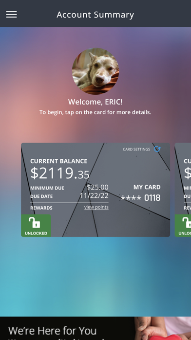 Financial First Card Manager Screenshot