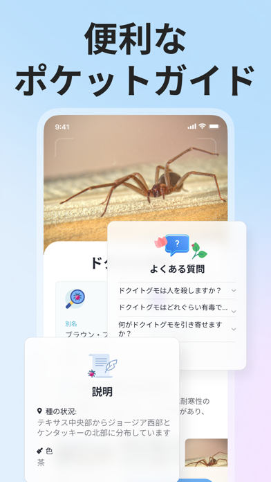 Picture Insect: 写真から昆虫やクモを識別するスクリーンショット