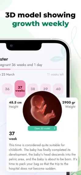 Game screenshot Baby Size - Pregnancy Tracker apk