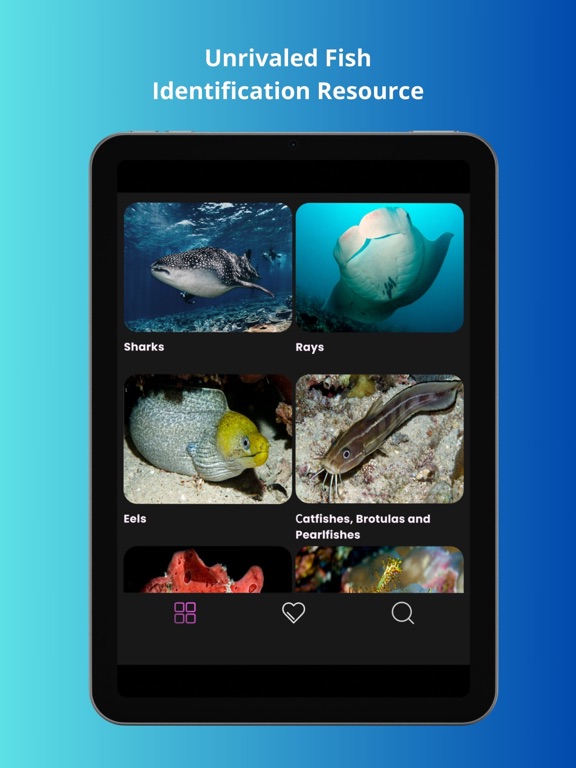 Screenshot #4 pour Maldivian Fish Guide