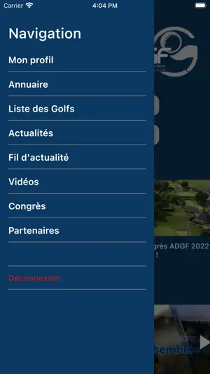 ADGF screenshot 2