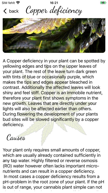 GrowCush screenshot-9