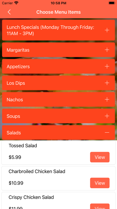 La Fiesta Albany Screenshot