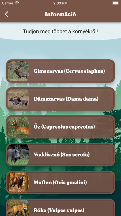 Cserkelj velünk! Screenshot