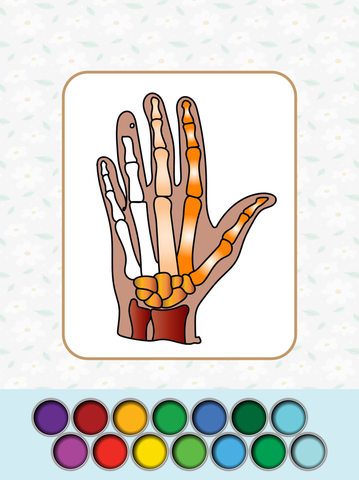 Anatomy Coloring Book.