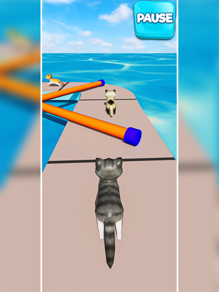 Cat Fun Race 3D Run Face Game