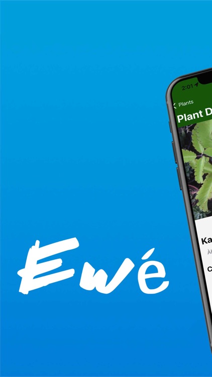 Osanyin: Yoruba Herbs