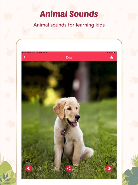 Screenshot #6 pour Animal Sounds for Kids.!