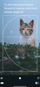 Golden Ratio Camera. Perfect screenshot #5 for iPhone