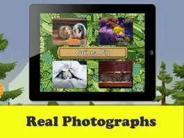 Game screenshot My Learning Bee apk
