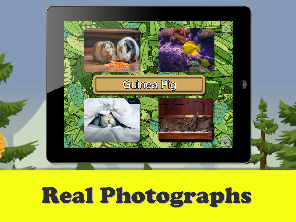 #2. My Learning Bee (iOS) 由: The Jeff and Jen Show