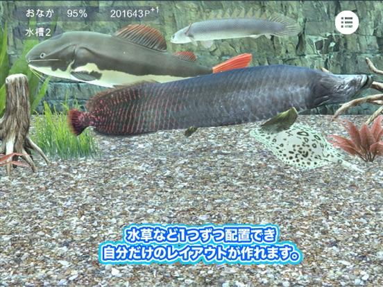 ぼくの古代魚水槽のおすすめ画像2