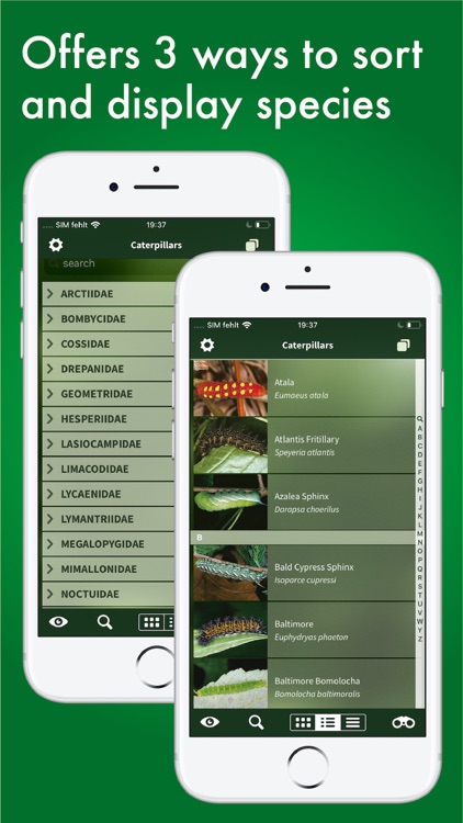 Caterpillar Id USA East Coast screenshot-3