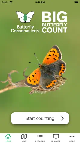 Game screenshot Big Butterfly Count hack
