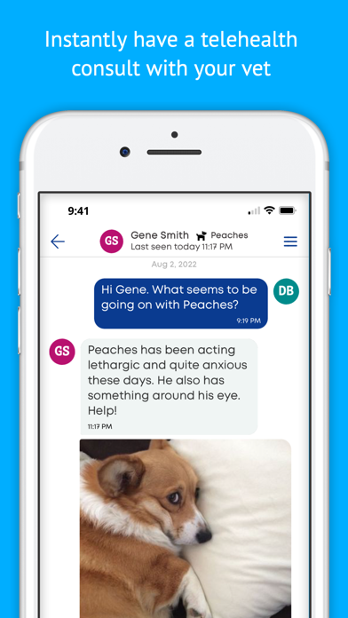 Anipanion Pet for Pet Parents Screenshot