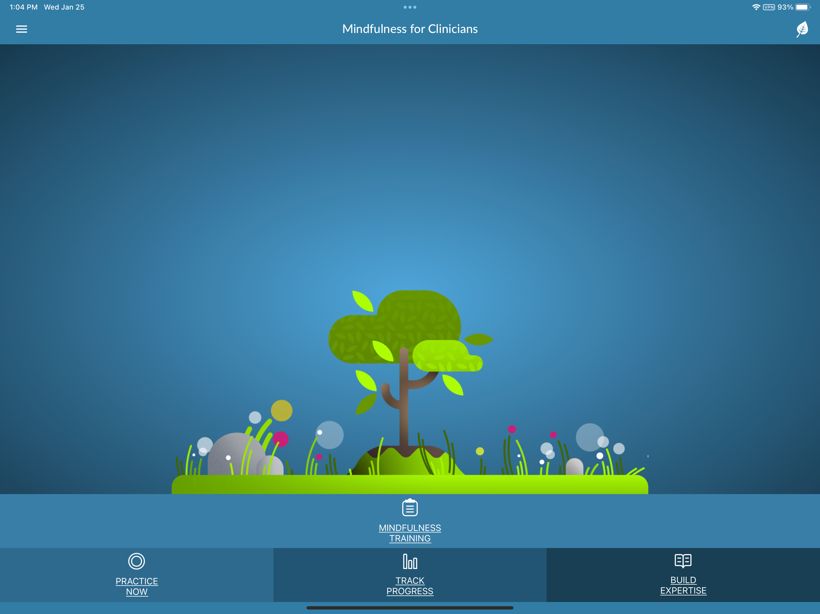 Mindfulness for Clinicians