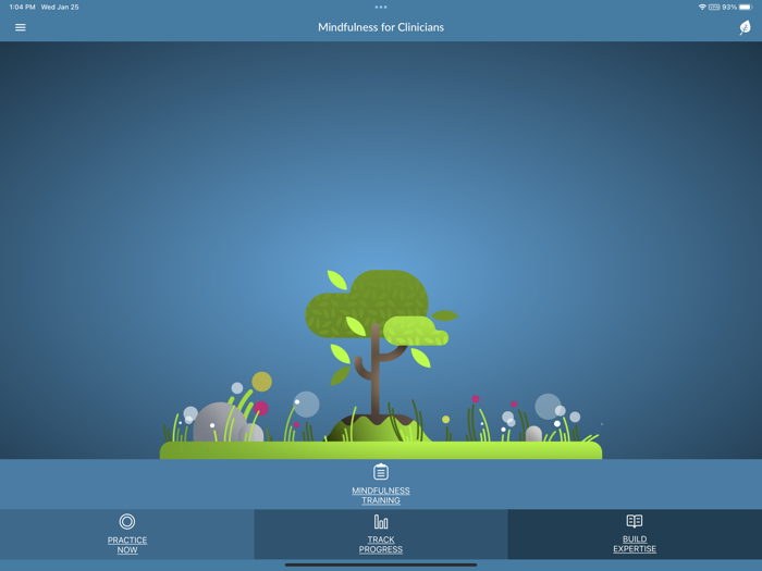 Mindfulness for Clinicians