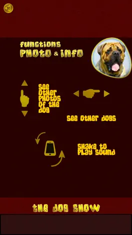 Game screenshot Animals 360 - The Dog Show apk