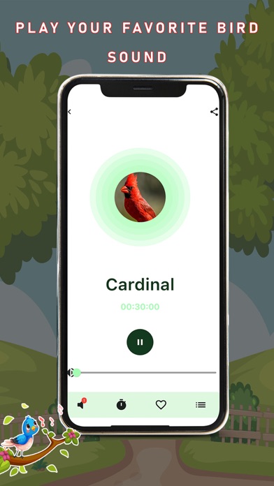 Birds Sounds and Music Screenshot
