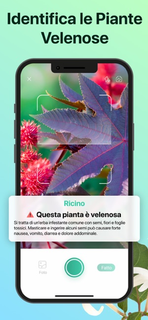 PictureThis - Fiori e alberi su App Store