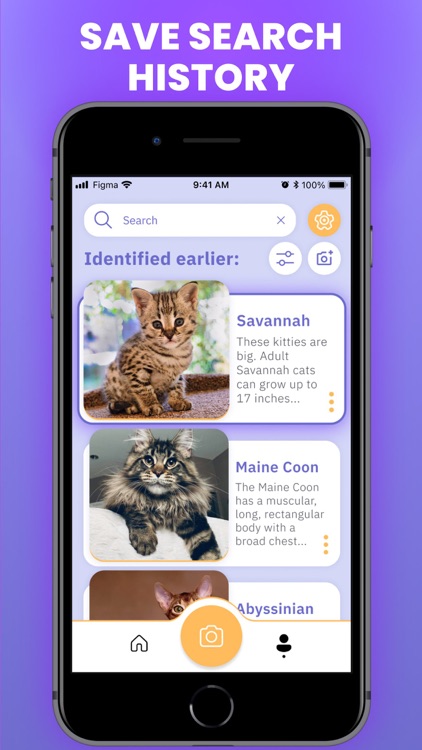 Cat Scanner : Breed Identifier screenshot-4