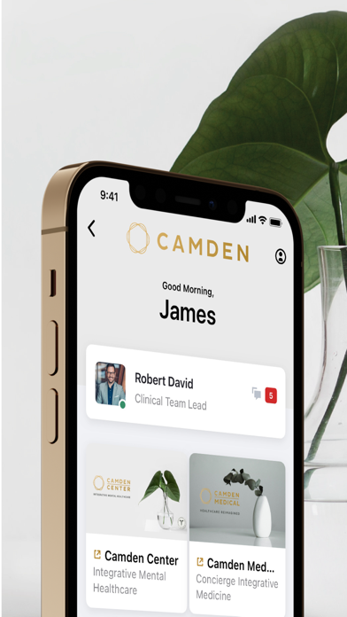 Camden Patient Portal Screenshot