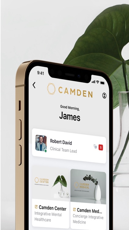 Camden Patient Portal