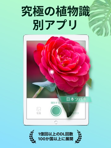 PictureThis：花、木、ハーブを写真で識別のおすすめ画像1