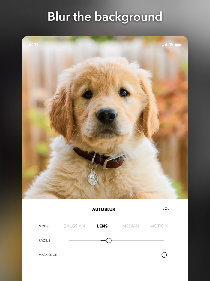 PicTapGo Photo Editor Pic