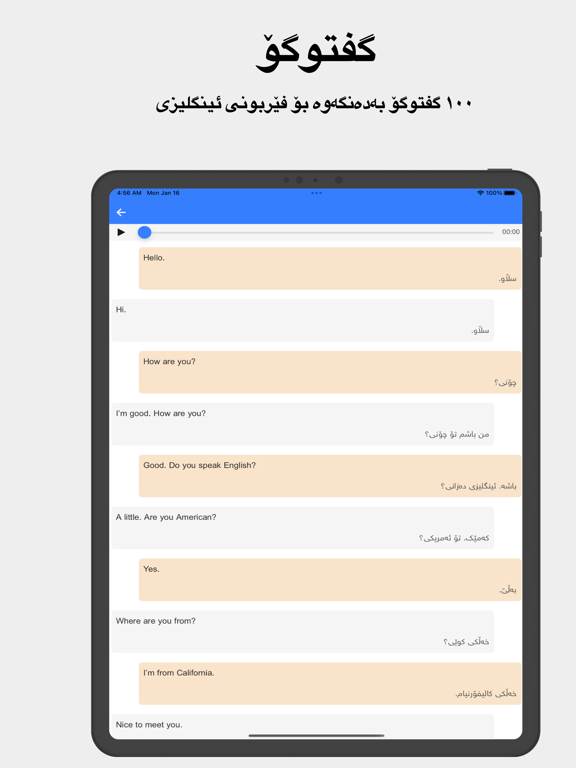 Rebin Dict Plus - Kurdish iPad screenshot 4 - Book app