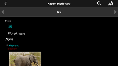 Kasem dictionary Screenshot