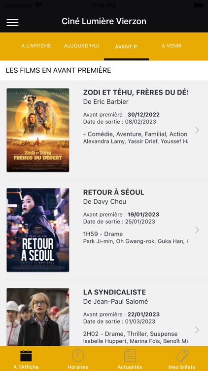 Ciné Lumière Vierzon