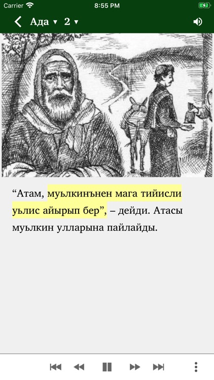 Доьрт Таварых screenshot-4