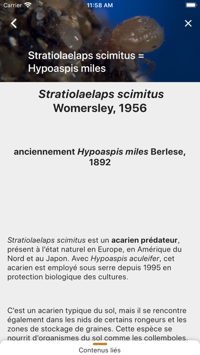 Diagnoplant biocontrôle Screenshot