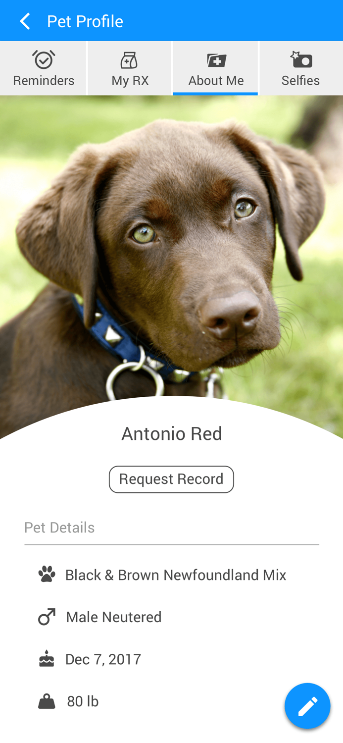 Care Animal Hospital Temecula