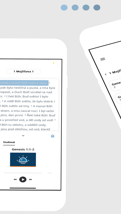 Česká bible (Czech) Screenshot